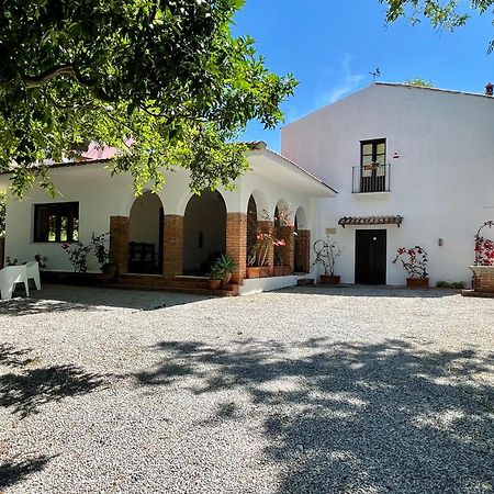 Villa Tana Pacenzia Чефалу Экстерьер фото