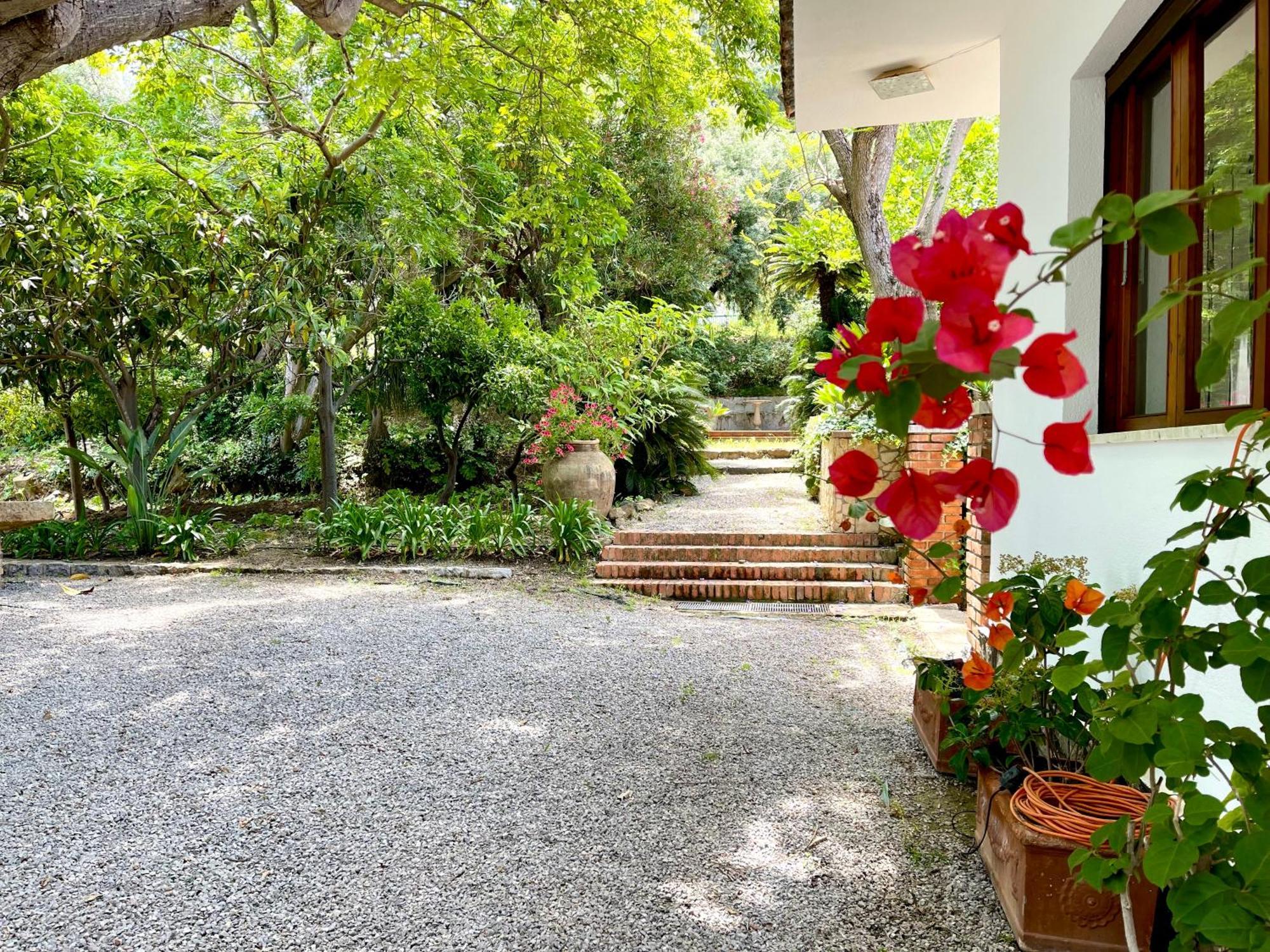 Villa Tana Pacenzia Чефалу Экстерьер фото
